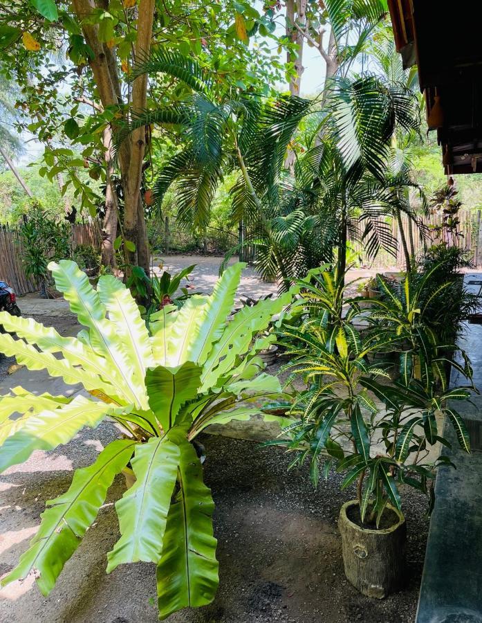 New Roy Guest House Kalkudah  Exterior foto