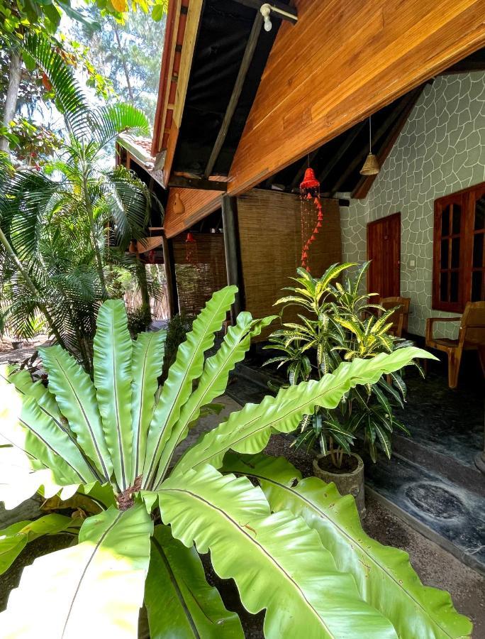 New Roy Guest House Kalkudah  Exterior foto