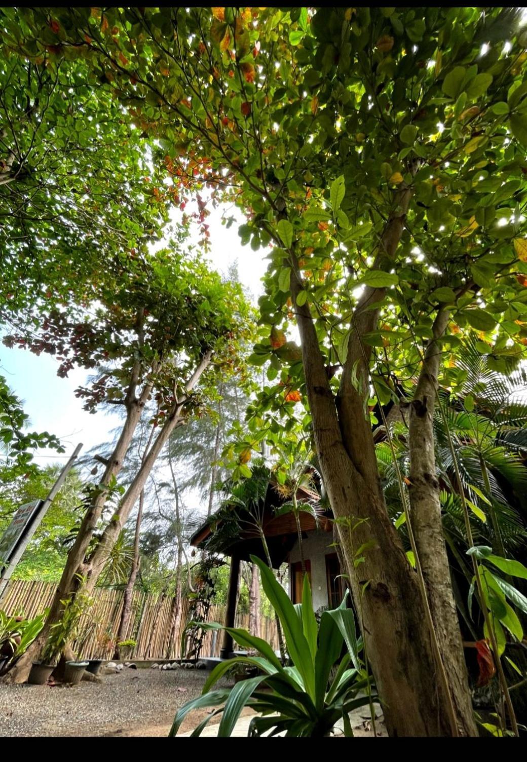 New Roy Guest House Kalkudah  Zimmer foto
